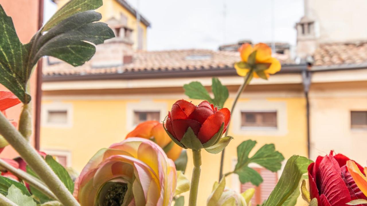 Ferienwohnung Monolivi 35 - Affitti Brevi Italia Modena Exterior foto